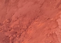Gallery (143)