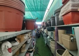 Gallery (146)