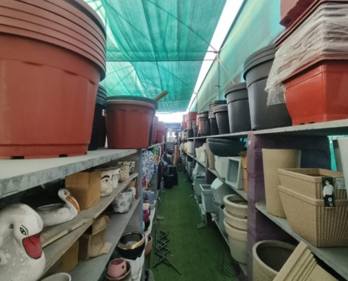 Gallery (146)