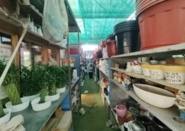 Gallery (147)
