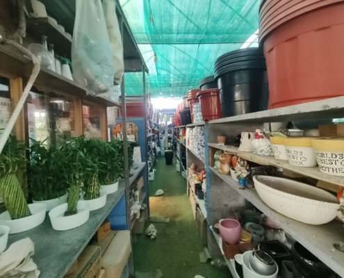Gallery (147)