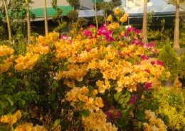 Gallery (148)