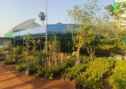 Gallery (153)