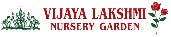 Vijayalakshmi Nursery Garden
